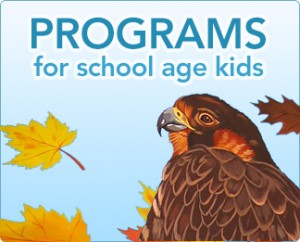 kids-4-programs-big