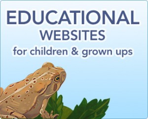 kids-5-educational-sites