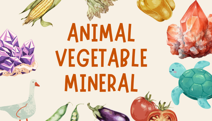 Animal, Vegetable, Mineral Display Teaser image