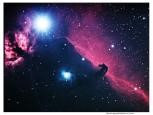 Horsehead Nebula by Ed Ting