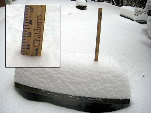 13.5 inches of snow!